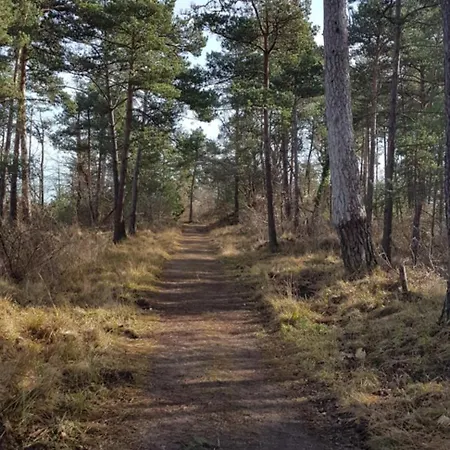 Carpe Diem Proche Fontainebleau *