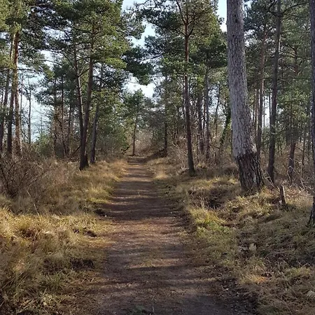 Carpe Diem Proche Fontainebleau Thomery